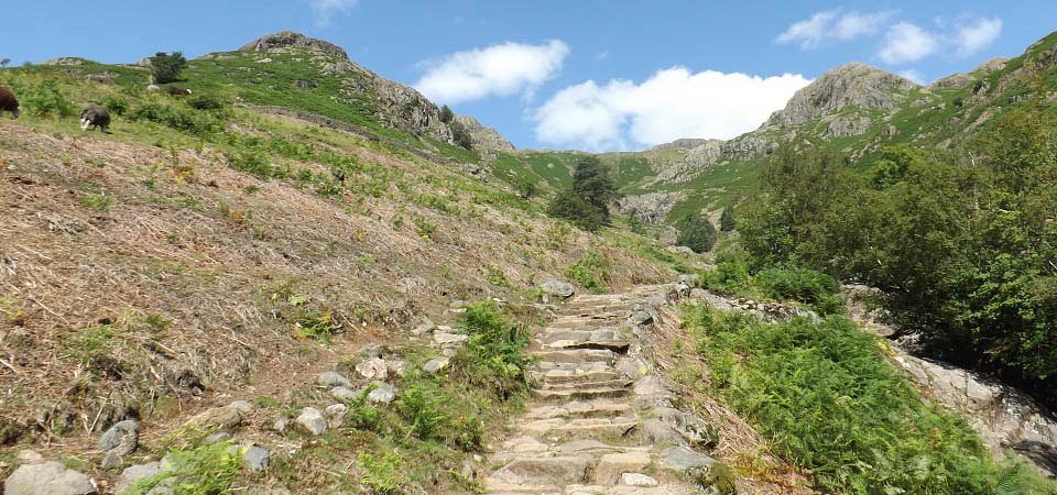 Harrison Stickle tourist path