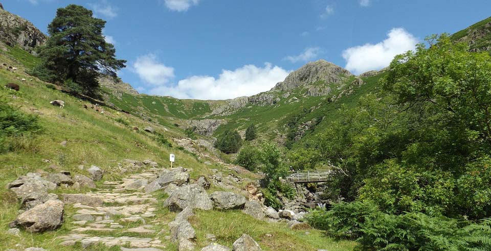 Harrison Stickle Bridge