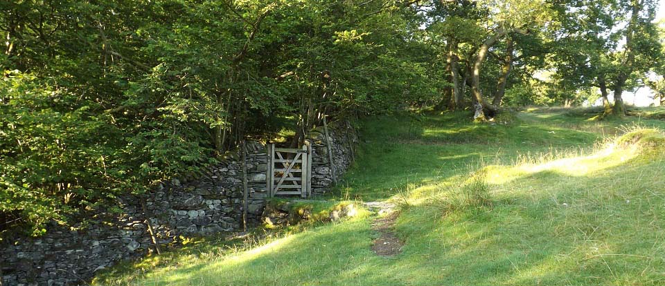 Todd Crag Trail