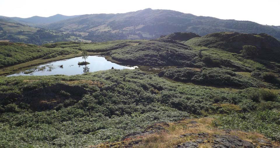 Todd Crag Tarn