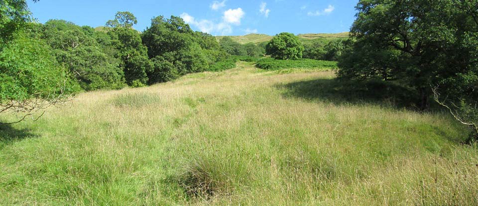 Wansfell Pike by Ambleside