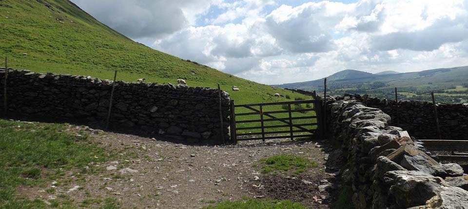 Blencathra lower path image