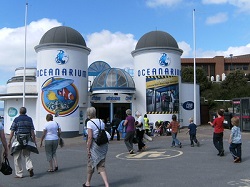 Bournemouth Oceanarium image