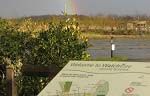 Watchtree Nature Reserve by Carlisle image