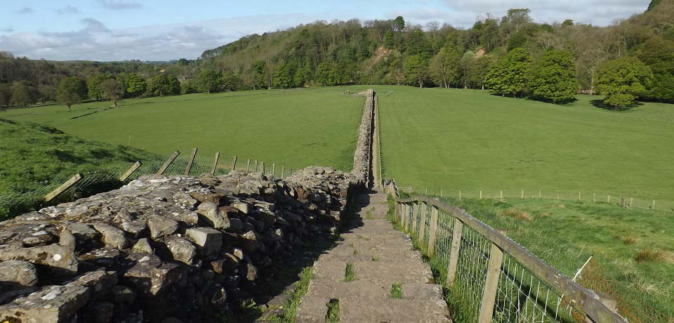 Hadrians Wall Steps by Gilsland image