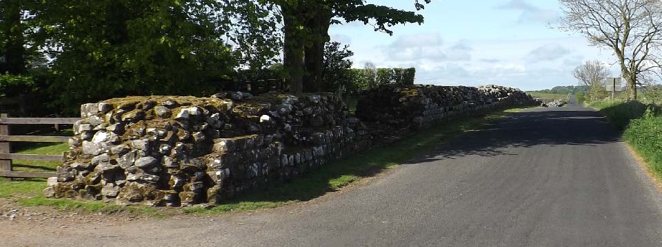 Hadrians Wall Past Birdoswald image