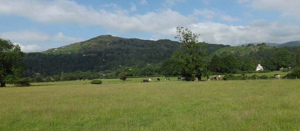 Silver How Mountain at Grasmere