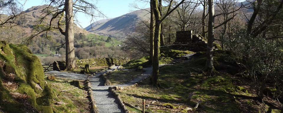 Allan Bank Woodland Walk image